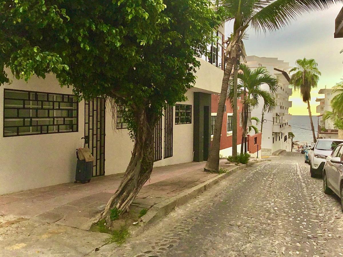 Pilitas Apartments Vallarta Puerto Vallarta Eksteriør bilde